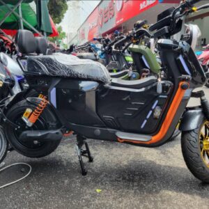 ZX Pro Sport E-bike